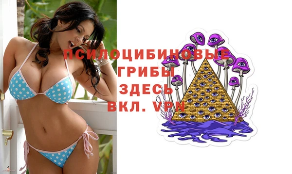 mix Аркадак