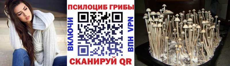 MEGA зеркало  хочу   Печоры  Псилоцибиновые грибы ЛСД 